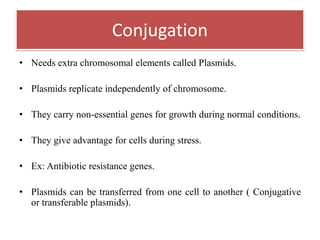 Conjugation
• Needs extra chromosomal elements called Plasmids.
• Plasmids replicate independently of chromosome.
• They carry non-essential genes for growth during normal conditions.
• They give advantage for cells during stress.
• Ex: Antibiotic resistance genes.
• Plasmids can be transferred from one cell to another ( Conjugative
or transferable plasmids).
 