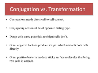 Conjugation vs. Transformation
• Conjugations needs direct cell to cell contact.
• Conjugating cells must be of opposite mating type.
• Donor cells carry plasmids, recipient cells don‟t.
• Gram negative bacteria produce sex pili which contacts both cells
directly.
• Gram positive bacteria produce sticky surface molecules that bring
two cells in contact.
 