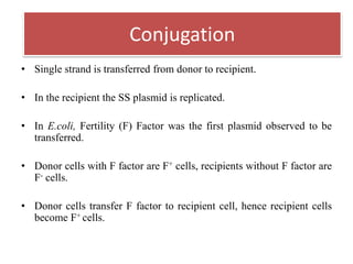 • Single strand is transferred from donor to recipient.
• In the recipient the SS plasmid is replicated.
• In E.coli, Fertility (F) Factor was the first plasmid observed to be
transferred.
• Donor cells with F factor are F+ cells, recipients without F factor are
F- cells.
• Donor cells transfer F factor to recipient cell, hence recipient cells
become F+ cells.
Conjugation
 
