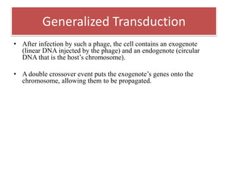 • After infection by such a phage, the cell contains an exogenote
(linear DNA injected by the phage) and an endogenote (circular
DNA that is the host‟s chromosome).
• A double crossover event puts the exogenote‟s genes onto the
chromosome, allowing them to be propagated.
Generalized Transduction
 