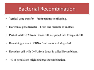 • Vertical gene transfer – From parents to offspring.
• Horizontal gene transfer – From one microbe to another.
• Part of total DNA from Donor cell integrated into Recipient cell.
• Remaining amount of DNA from donor cell degraded.
• Recipient cell with DNA from donor is called Recombinant.
• 1% of population might undergo Recombination.
Bacterial Recombination
 