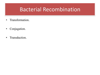 • Transformation.
• Conjugation.
• Transduction.
Bacterial Recombination
 