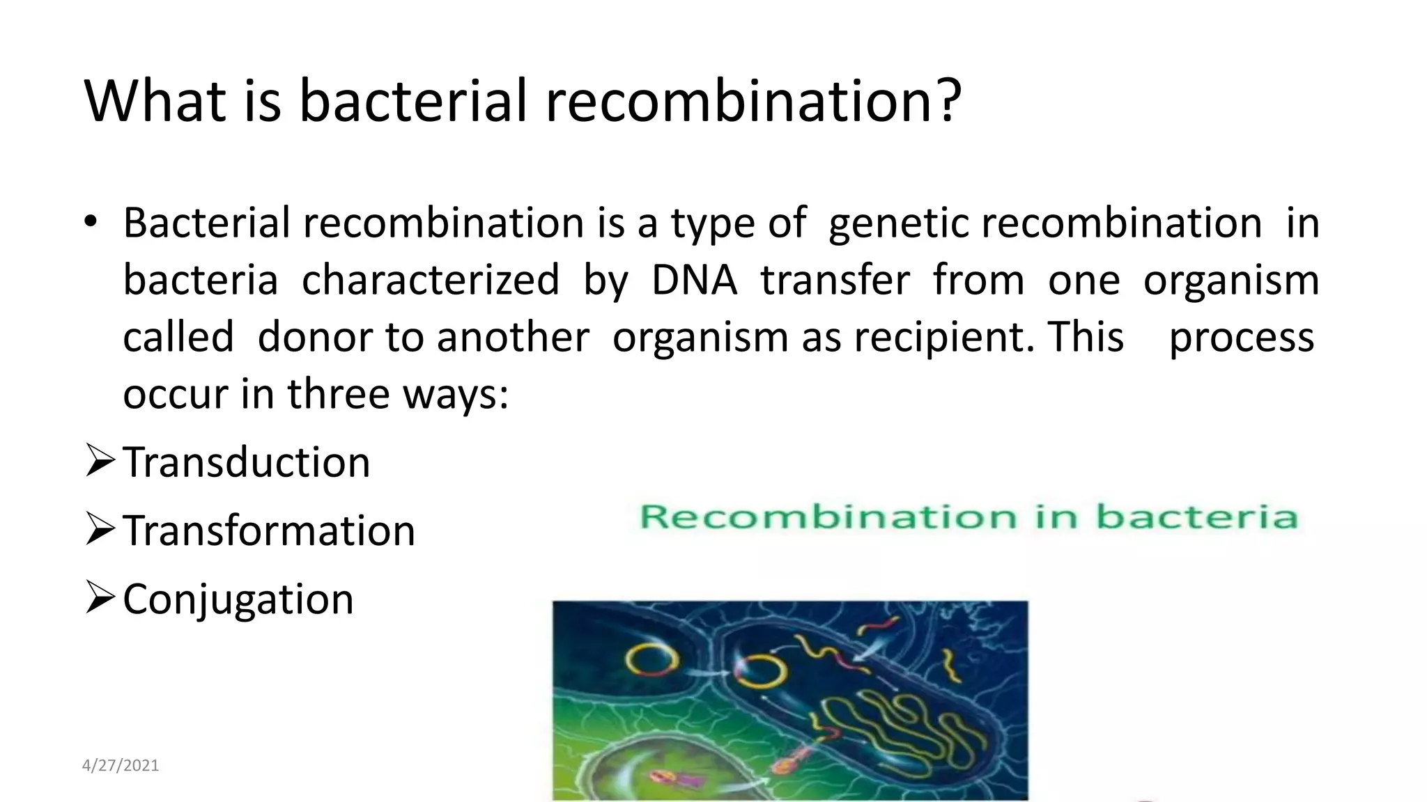 Bacterial recombination and mapping in e.coli