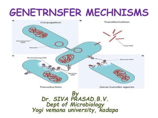 GENETRNSFER MECHNISMS
By
Dr. SIVA PRASAD.B.V.
Dept of Microbiology
Yogi vemana university, kadapa
 