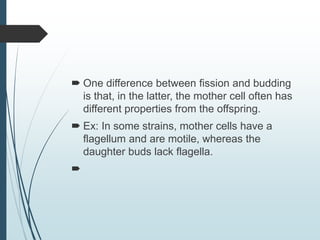  One difference between fission and budding
is that, in the latter, the mother cell often has
different properties from the offspring.
 Ex: In some strains, mother cells have a
flagellum and are motile, whereas the
daughter buds lack flagella.

 
