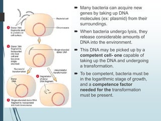  Many bacteria can acquire new
genes by taking up DNA
molecules (ex: plasmid) from their
surroundings.
 When bacteria undergo lysis, they
release considerable amounts of
DNA into the environment.
 This DNA may be picked up by a
competent cell- one capable of
taking up the DNA and undergoing
a transformation.
 To be competent, bacteria must be
in the logarithmic stage of growth,
and a competence factor
needed for the transformation
must be present.
 