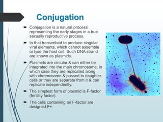 Conjugation
 Conjugation is a natural process
representing the early stages in a true
sexually reproductive process.
 In that transcribed to produce singular
viral elements, which cannot assemble
or lyse the host cell. Such DNA strand
are known as plasmids.
 Plasmids are circular & can either be
integrated into the main chromosome, in
which case they are replicated along
with chromosome & passed to daughter
cells or they are separate from it & can
replicate independently.
 The simplest form of plasmid is F-factor
(fertility factor).
 The cells containing an F-factor are
designed F+
 