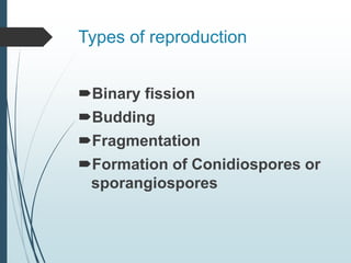 Types of reproduction
Binary fission
Budding
Fragmentation
Formation of Conidiospores or
sporangiospores
 