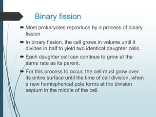Binary fission
 Most prokaryotes reproduce by a process of binary
fission
 In binary fission, the cell grows in volume until it
divides in half to yield two identical daughter cells.
 Each daughter cell can continue to grow at the
same rate as its parent.
 For this process to occur, the cell must grow over
its entire surface until the time of cell division, when
a new hemispherical pole forms at the division
septum in the middle of the cell.
 