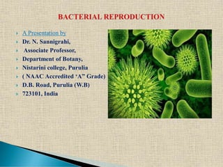  A Presentation by
 Dr. N. Sannigrahi,
 Associate Professor,
 Department of Botany,
 Nistarini college, Purulia
 ( NAAC Accredited ‘A” Grade)
 D.B. Road, Purulia (W.B)
 723101, India
 
