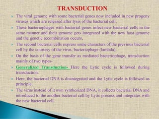  The viral genome with some bacterial genes now included in new progeny
viruses which are released after lysis of the bacterial cell,
 These bacteriophages with bacterial genes infect new bacterial cells in the
same manner and their genome gets integrated with the new host genome
and the genetic recombination occurs,
 The second bacterial cells express some characters of the previous bacterial
cell by the courtesy of the virus, bacteriophage (lambda).
 On the basis of the gene transfer as mediated bacteriophage, transduction
mainly of two types-
 Generalized Transduction- Here the Lytic cycle is followed during
transduction.
 Here, the bacterial DNA is disintegrated and the Lytic cycle is followed as
principle.
 The virus instead of it own synthesized DNA, it collects bacterial DNA and
introduced to the another bacterial cell by Lytic process and integrates with
the new bacterial cell.
 