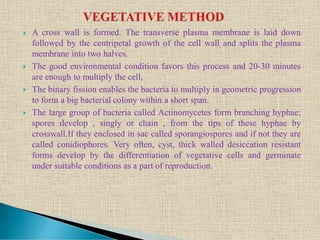  A cross wall is formed. The transverse plasma membrane is laid down
followed by the centripetal growth of the cell wall and splits the plasma
membrane into two halves.
 The good environmental condition favors this process and 20-30 minutes
are enough to multiply the cell,
 The binary fission enables the bacteria to multiply in geometric progression
to form a big bacterial colony within a short span.
 The large group of bacteria called Actinomycetes form branching hyphae;
spores develop , singly or chain , from the tips of these hyphae by
crosswall.If they enclosed in sac called sporangiospores and if not they are
called conidiophores. Very often, cyst, thick walled desiccation resistant
forms develop by the differentiation of vegetative cells and germinate
under suitable conditions as a part of reproduction.
 