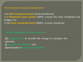 Three essential structural components:
an ABC transporter protein (inner membrane),
 a Membrane fusion protein (MFP) -crosses the inner membrane and
bridges it to
 the Outer membrane factor (OMF) –in outer membrane
The ABC transporter’s critical functions –
it catalyzes ATP to provide the energy to transport the
substrate,
 interacts with the MFP, and
participates in substrate recognition
 