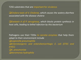 T2SS substrates that are important for virulence
Cholera toxin of V. Cholerae, which causes the watery diarrhea
associated with the disease cholera
Exotoxin A of P. aeruginosa, which blocks protein synthesis in
host cells, leading to lethal infection by this bacterium
Pathogens use their T2SSs to secrete enzymes that help them
adapt to their environment include
Legionella pneumophila
Enterotoxigenic and enterohemorrhagic E. coli (ETEC and
EHEC)
K. pneumoniae
Aeromonas hydrophila
 