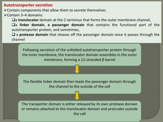 Autotransporter secretion
Contain components that allow them to secrete themselves
Contain 3–4 domains:
a translocator domain at the C-terminus that forms the outer membrane channel,
a linker domain, a passenger domain that contains the functional part of the
autotransporter protein, and sometimes,
 a protease domain that cleaves off the passenger domain once it passes through the
channel
Following secretion of the unfolded autotransporter protein through
the inner membrane, the translocator domain assembles in the outer
membrane, forming a 12-stranded β-barrel
The flexible linker domain then leads the passenger domain through
the channel to the outside of the cell
The transporter domain is either released by its own protease domain
or remains attached to the translocator domain and protrudes outside
the cell
 
