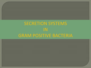 SECRETION SYSTEMS
IN
GRAM POSITIVE BACTERIA
 