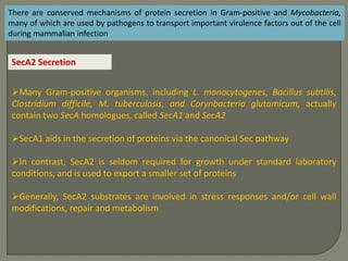 There are conserved mechanisms of protein secretion in Gram-positive and Mycobacteria,
many of which are used by pathogens to transport important virulence factors out of the cell
during mammalian infection
SecA2 Secretion
Many Gram-positive organisms, including L. monocytogenes, Bacillus subtilis,
Clostridium difficile, M. tuberculosis, and Corynbacteria glutamicum, actually
contain two SecA homologues, called SecA1 and SecA2
SecA1 aids in the secretion of proteins via the canonical Sec pathway
In contrast, SecA2 is seldom required for growth under standard laboratory
conditions, and is used to export a smaller set of proteins
Generally, SecA2 substrates are involved in stress responses and/or cell wall
modifications, repair and metabolism
 