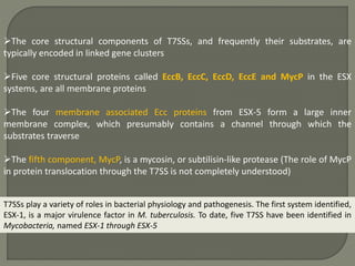 The core structural components of T7SSs, and frequently their substrates, are
typically encoded in linked gene clusters
Five core structural proteins called EccB, EccC, EccD, EccE and MycP in the ESX
systems, are all membrane proteins
The four membrane associated Ecc proteins from ESX-5 form a large inner
membrane complex, which presumably contains a channel through which the
substrates traverse
The fifth component, MycP, is a mycosin, or subtilisin-like protease (The role of MycP
in protein translocation through the T7SS is not completely understood)
T7SSs play a variety of roles in bacterial physiology and pathogenesis. The first system identified,
ESX-1, is a major virulence factor in M. tuberculosis. To date, five T7SS have been identified in
Mycobacteria, named ESX-1 through ESX-5
 