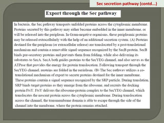 Sec secretion pathway (contd...)
 