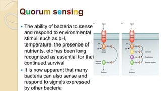 Microbial Signalling Bacterial signal transduction.pptx
