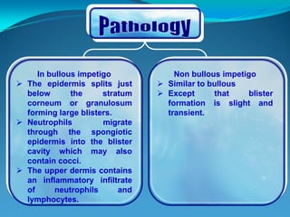 Bacterial skin infection | PDF