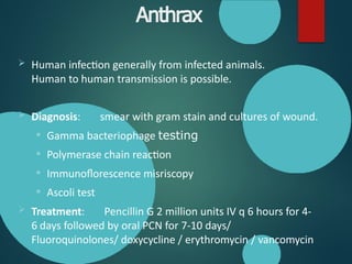 Comprehensive Overview of Bacterial Skin Infections: Diagnosis and ...