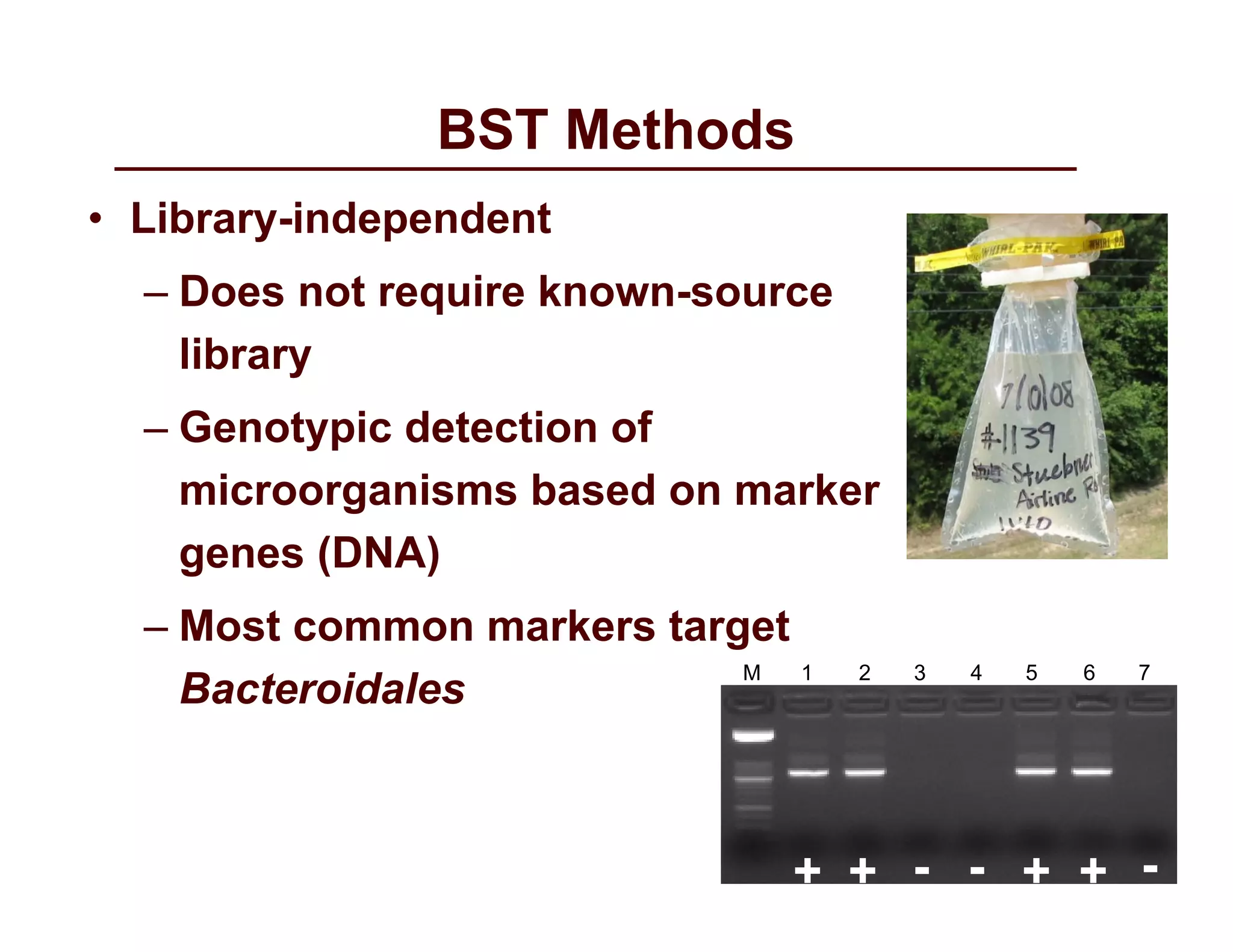 Bacterial source tracking gentry | PPT