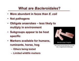 Bacterial source tracking gentry | PDF
