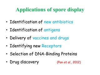 Applications of spore display
• Identification of new antibiotics
• Identification of antigens
• Delivery of vaccines and drugs
• Identifying new Receptors
• Selection of DNA-Binding Proteins
• Drug discovery (Pan et al., 2012)
 