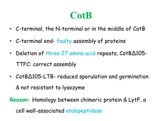 CotB
• C-terminal, the N-terminal or in the middle of CotB
• C-terminal end- faulty assembly of proteins
• Deletion of three 27 amino acid repeats, CotBΔ105-
TTFC: correct assembly
• CotBΔ105-LTB- reduced sporulation and germination
& not resistant to lysozyme
Reason: Homology between chimeric protein & LytF, a
cell wall-associated endopeptidase
 
