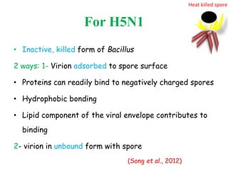 For H5N1
• Inactive, killed form of Bacillus
2 ways: 1- Virion adsorbed to spore surface
• Proteins can readily bind to negatively charged spores
• Hydrophobic bonding
• Lipid component of the viral envelope contributes to
binding
2- virion in unbound form with spore
(Song et al., 2012)
Heat killed spore
 