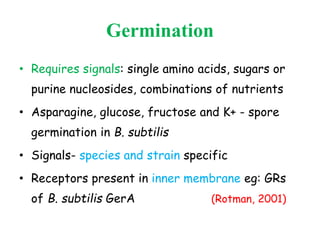 Germination
• Requires signals: single amino acids, sugars or
purine nucleosides, combinations of nutrients
• Asparagine, glucose, fructose and K+ - spore
germination in B. subtilis
• Signals- species and strain specific
• Receptors present in inner membrane eg: GRs
of B. subtilis GerA (Rotman, 2001)
 
