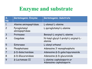 Enzyme and substrate
S.
No
Germinogenic Enzyme Germinogenic Substrate
1 Alanine aminopeptidase L-alanoyl L-alanine
2 Pyroglutamyl
aminopeptidase
L-pyroglutamyl-L-alanine
3 Proteases Benzoyl-L-arginyl-L-alanine
4 Coagulase N-tosyl-glycyl-1-prolyl-L-arginyl-L-
alanine
5 Esterases L-alanyl-ethanol
6 Phosphatases Adenosine 3’-monophosphate
7 β-D-Galactosidase Adenosine-β-D-galactopyranoside
8 β-D-Glucuronidase Adenosine-β-D-glucuronide
9 β-Lactamase II L-alanine-cephalosporin or
Adenosine-cephalosporin
 