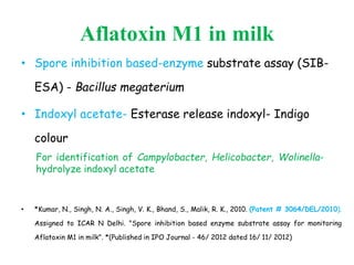 Aflatoxin M1 in milk
• Spore inhibition based-enzyme substrate assay (SIB-
ESA) - Bacillus megaterium
• Indoxyl acetate- Esterase release indoxyl- Indigo
colour
• *Kumar, N., Singh, N. A., Singh, V. K., Bhand, S., Malik, R. K., 2010. (Patent # 3064/DEL/2010).
Assigned to ICAR N Delhi. "Spore inhibition based enzyme substrate assay for monitoring
Aflatoxin M1 in milk". *(Published in IPO Journal - 46/ 2012 dated 16/ 11/ 2012)
For identification of Campylobacter, Helicobacter, Wolinella-
hydrolyze indoxyl acetate
 