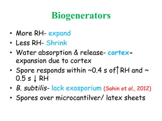 Biogenerators
• More RH- expand
• Less RH- Shrink
• Water absorption & release- cortex-
expansion due to cortex
• Spore responds within ~0.4 s of RH and ~
0.5 s RH
• B. subtilis- lack exosporium (Sahin et al., 2012)
• Spores over microcantilver/ latex sheets
 