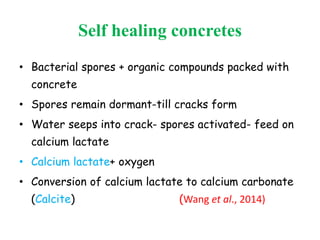 Self healing concretes
• Bacterial spores + organic compounds packed with
concrete
• Spores remain dormant-till cracks form
• Water seeps into crack- spores activated- feed on
calcium lactate
• Calcium lactate+ oxygen
• Conversion of calcium lactate to calcium carbonate
(Calcite) (Wang et al., 2014)
 