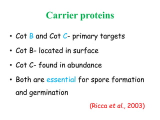 Carrier proteins
• Cot B and Cot C- primary targets
• Cot B- located in surface
• Cot C- found in abundance
• Both are essential for spore formation
and germination
(Ricca et al., 2003)
 