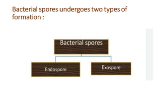 Bacterial spores undergoes two types of
formation :
 