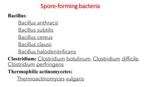 Spore-forming bacteria
Bacillus:
Bacillus anthracis
Bacillus subtilis
Bacillus cereus
Bacillus clausii
Bacillus halodenitrificans
Clostridium: Clostridium botulinum, Clostridium difficile,
Clostridium perfringens
Thermophilic actinomycetes:
Thermoactinomyces vulgaris
 