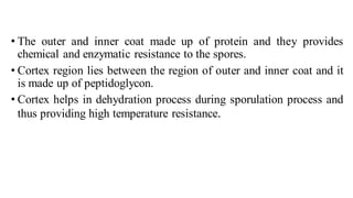 • The outer and inner coat made up of protein and they provides
chemical and enzymatic resistance to the spores.
• Cortex region lies between the region of outer and inner coat and it
is made up of peptidoglycon.
• Cortex helps in dehydration process during sporulation process and
thus providing high temperature resistance.
 