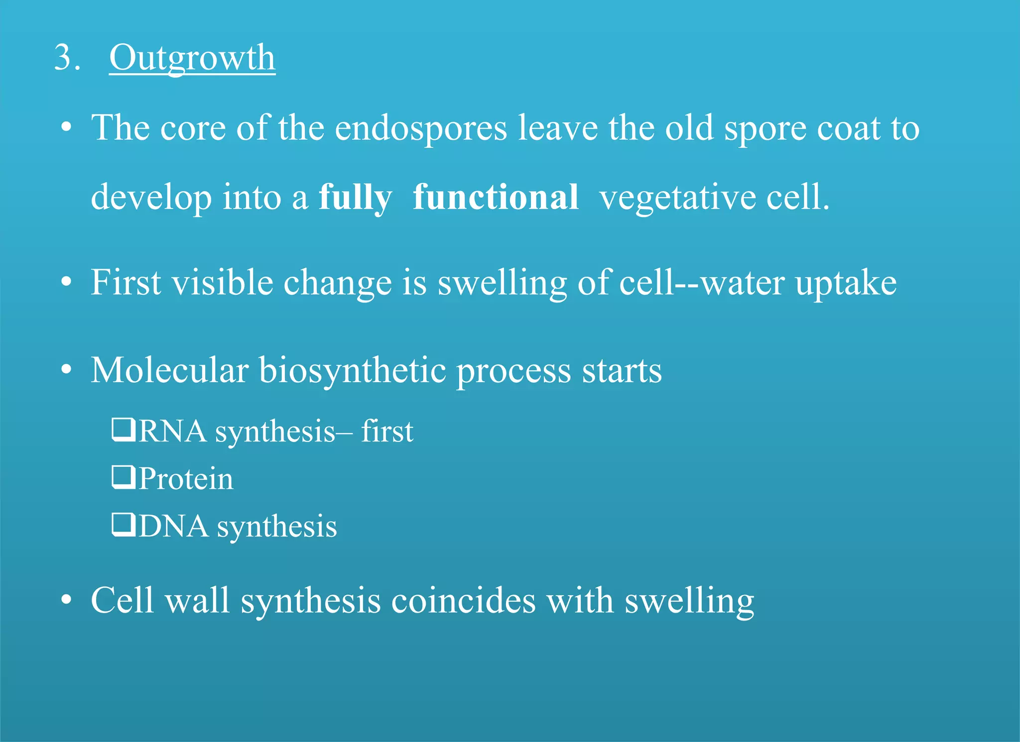 3. Outgrowth
• The core of the endospores leave the old spore coat to
develop into a fully functional vegetative cell.
• First visible change is swelling of cell--water uptake
• Molecular biosynthetic process starts
RNA synthesis– first
Protein
DNA synthesis
• Cell wall synthesis coincides with swelling
 