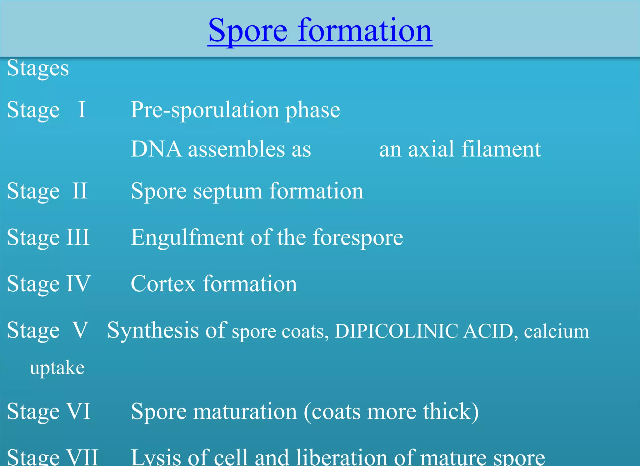Stages
Stage I Pre-sporulation phase
DNA assembles as an axial filament
Stage II Spore septum formation
Stage III Engulfment of the forespore
Stage IV Cortex formation
Stage V Synthesis of spore coats, DIPICOLINIC ACID, calcium
uptake
Stage VI Spore maturation (coats more thick)
Stage VII Lysis of cell and liberation of mature spore
Spore formation
 