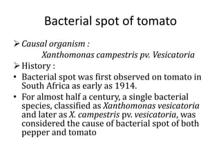 Bacterial spot of tomato
Causal organism :
Xanthomonas campestris pv. Vesicatoria
History :
• Bacterial spot was first observed on tomato in
South Africa as early as 1914.
• For almost half a century, a single bacterial
species, classified as Xanthomonas vesicatoria
and later as X. campestris pv. vesicatoria, was
considered the cause of bacterial spot of both
pepper and tomato
 