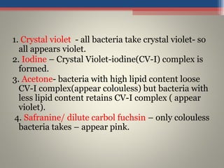 1. Crystal violet - all bacteria take crystal violet- so
all appears violet.
2. Iodine – Crystal Violet-iodine(CV-I) complex is
formed.
3. Acetone- bacteria with high lipid content loose
CV-I complex(appear colouless) but bacteria with
less lipid content retains CV-I complex ( appear
violet).
4. Safranine/ dilute carbol fuchsin – only colouless
bacteria takes – appear pink.
 