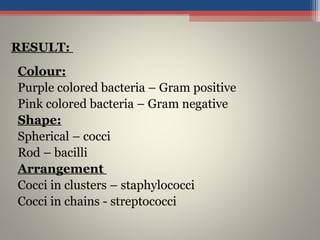 Colour:
Purple colored bacteria – Gram positive
Pink colored bacteria – Gram negative
Shape:
Spherical – cocci
Rod – bacilli
Arrangement
Cocci in clusters – staphylococci
Cocci in chains - streptococci
RESULT:
 