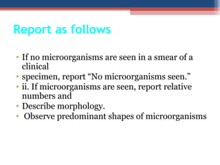 • If no microorganisms are seen in a smear of a
clinical
• specimen, report “No microorganisms seen.”
• ii. If microorganisms are seen, report relative
numbers and
• Describe morphology.
• Observe predominant shapes of microorganisms
Report as follows
 