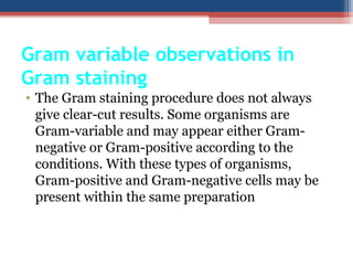 Gram variable observations in
Gram staining
• The Gram staining procedure does not always
give clear-cut results. Some organisms are
Gram-variable and may appear either Gram-
negative or Gram-positive according to the
conditions. With these types of organisms,
Gram-positive and Gram-negative cells may be
present within the same preparation
 