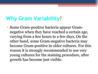 Why Gram Variability?
• Some Gram-positive bacteria appear Gram-
negative when they have reached a certain age,
varying from a few hours to a few days. On the
other hand, some Gram-negative bacteria may
become Gram-positive in older cultures. For this
reason it is strongly recommended to use very
young cultures for the staining procedure, after
growth has become just visible.
 