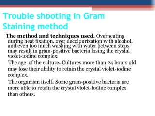 Trouble shooting in Gram
Staining method
The method and techniques used. Overheating
during heat fixation, over decolourization with alcohol,
and even too much washing with water between steps
may result in gram-positive bacteria losing the crystal
violet-iodine complex.
The age of the culture. Cultures more than 24 hours old
may lose their ability to retain the crystal violet-iodine
complex.
The organism itself. Some gram-positive bacteria are
more able to retain the crystal violet-iodine complex
than others.
 