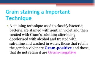 • A staining technique used to classify bacteria;
bacteria are stained with gentian violet and then
treated with Gram's solution; after being
decolorized with alcohol and treated with
safranine and washed in water, those that retain
the gentian violet are Gram-positive and those
that do not retain it are Gram-negative
Gram staining a Important
Technique
 